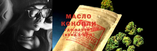 индика Нефтегорск