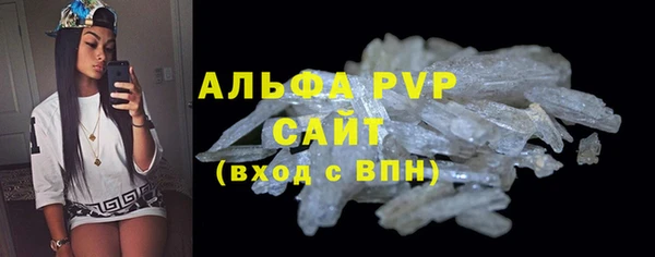 индика Нефтегорск