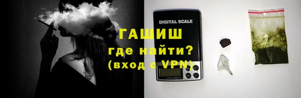 индика Нефтегорск